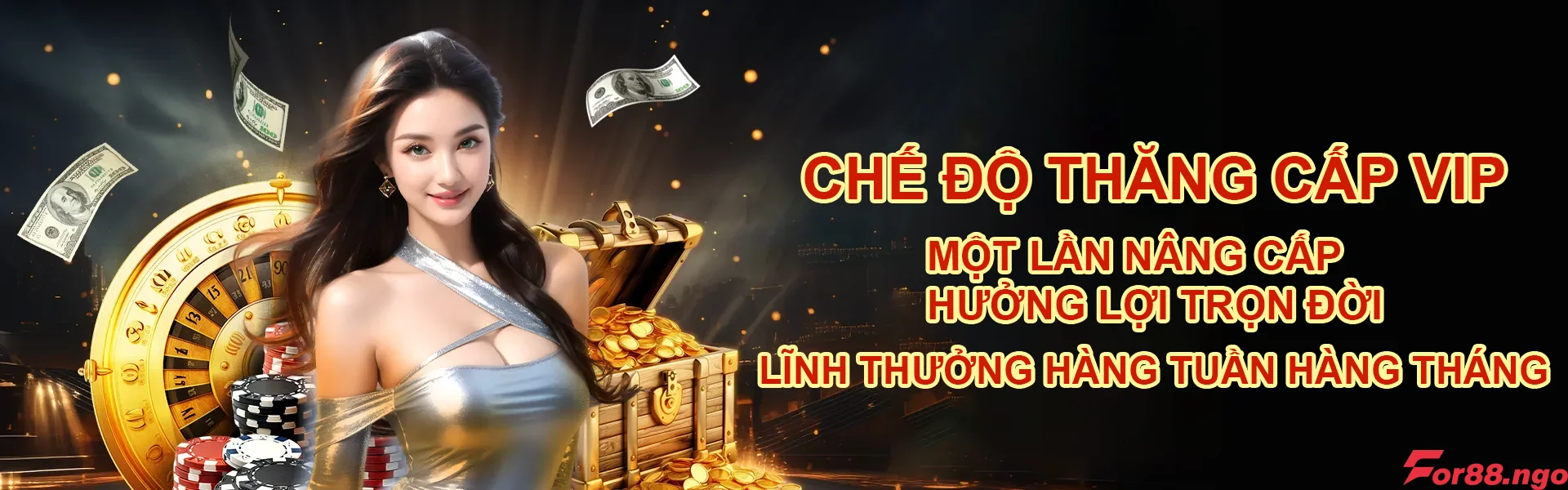 Img chế độ thăng cấp VIP